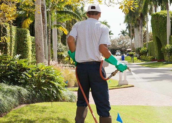 About Goessel KS Pest Control